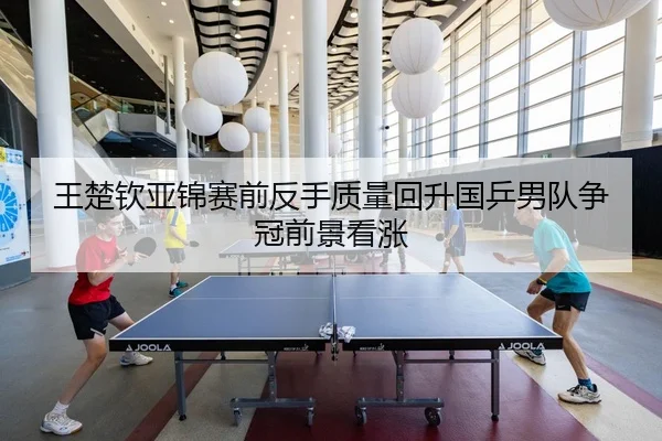 王楚钦亚锦赛前反手质量回升国乒男队争冠前景看涨