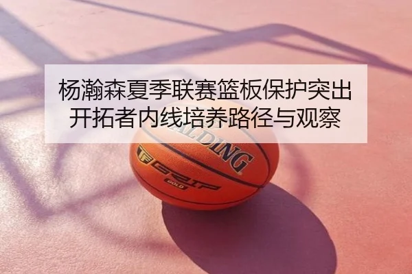 杨瀚森夏季联赛篮板保护突出 开拓者内线培养路径与观察
